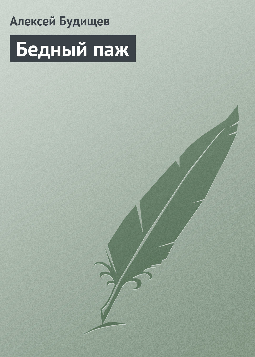 Обложка книги «Бедный паж»