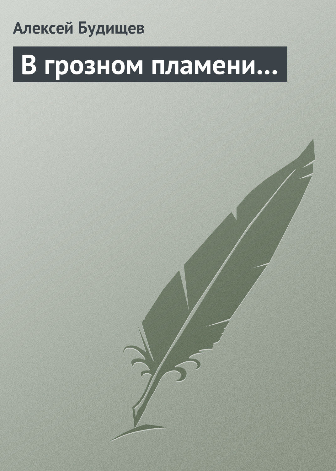 Обложка книги «В грозном пламени…»