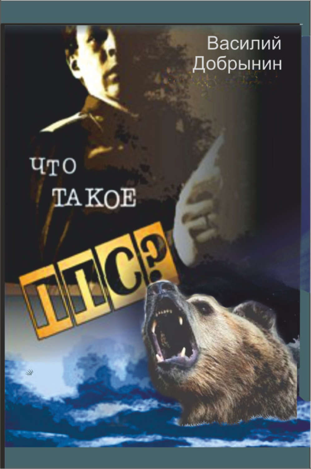 Обложка книги «Что такое ППС?»