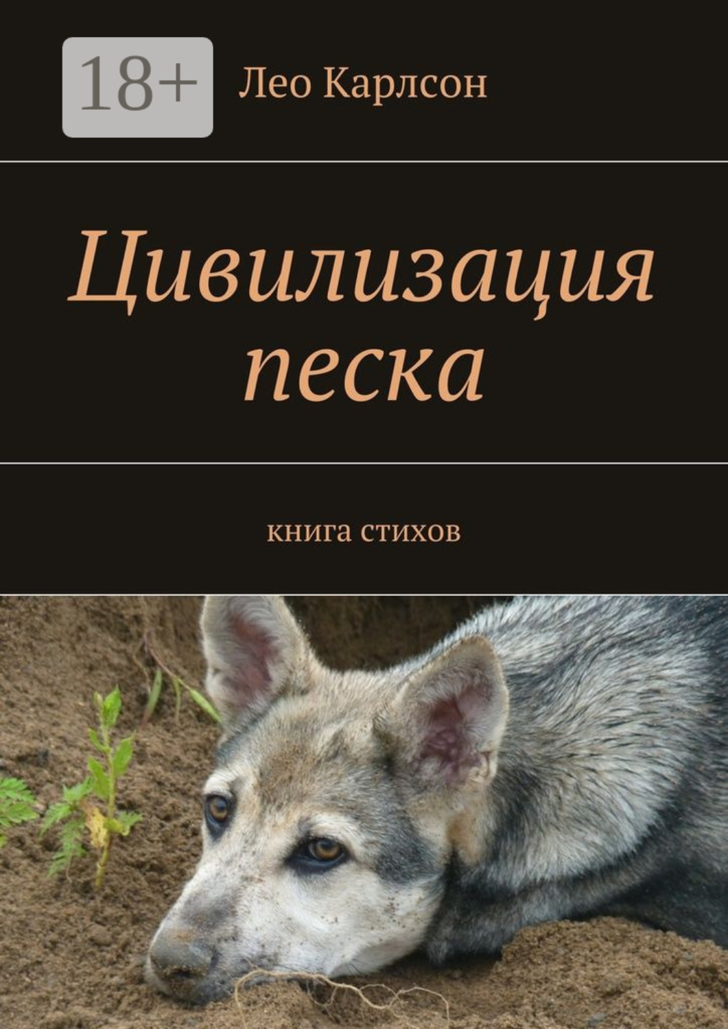 Обложка книги «Цивилизация песка. книга стихов»