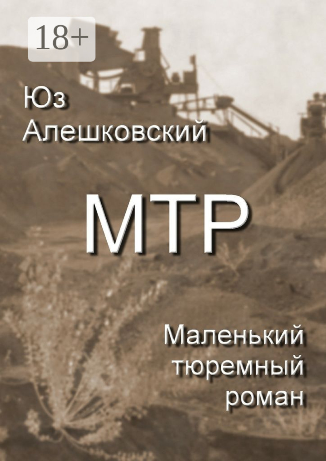 Обложка книги «Маленький тюремный роман»