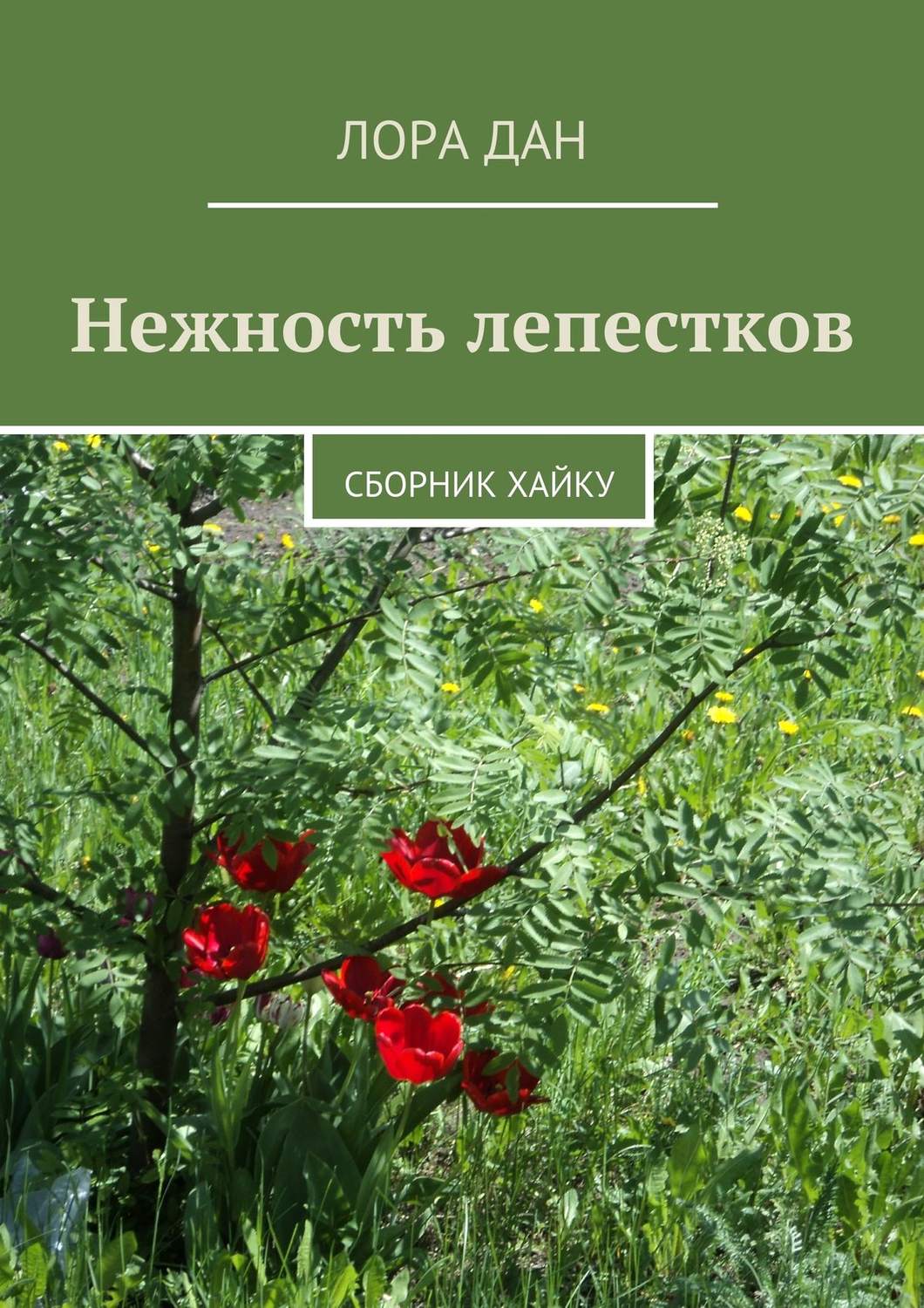 Обложка книги «Нежность лепестков. сборник хайку»
