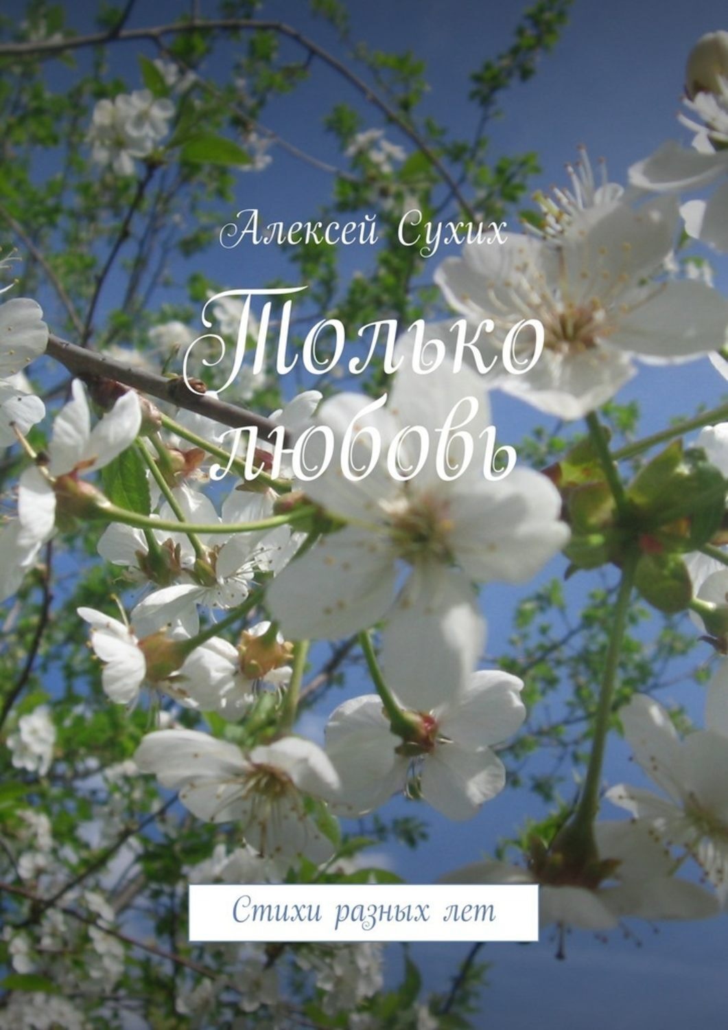 Обложка книги «Только любовь. Стихи разных лет»