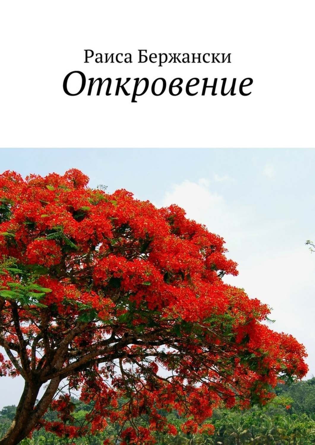 Обложка книги «Откровение. Стихи»