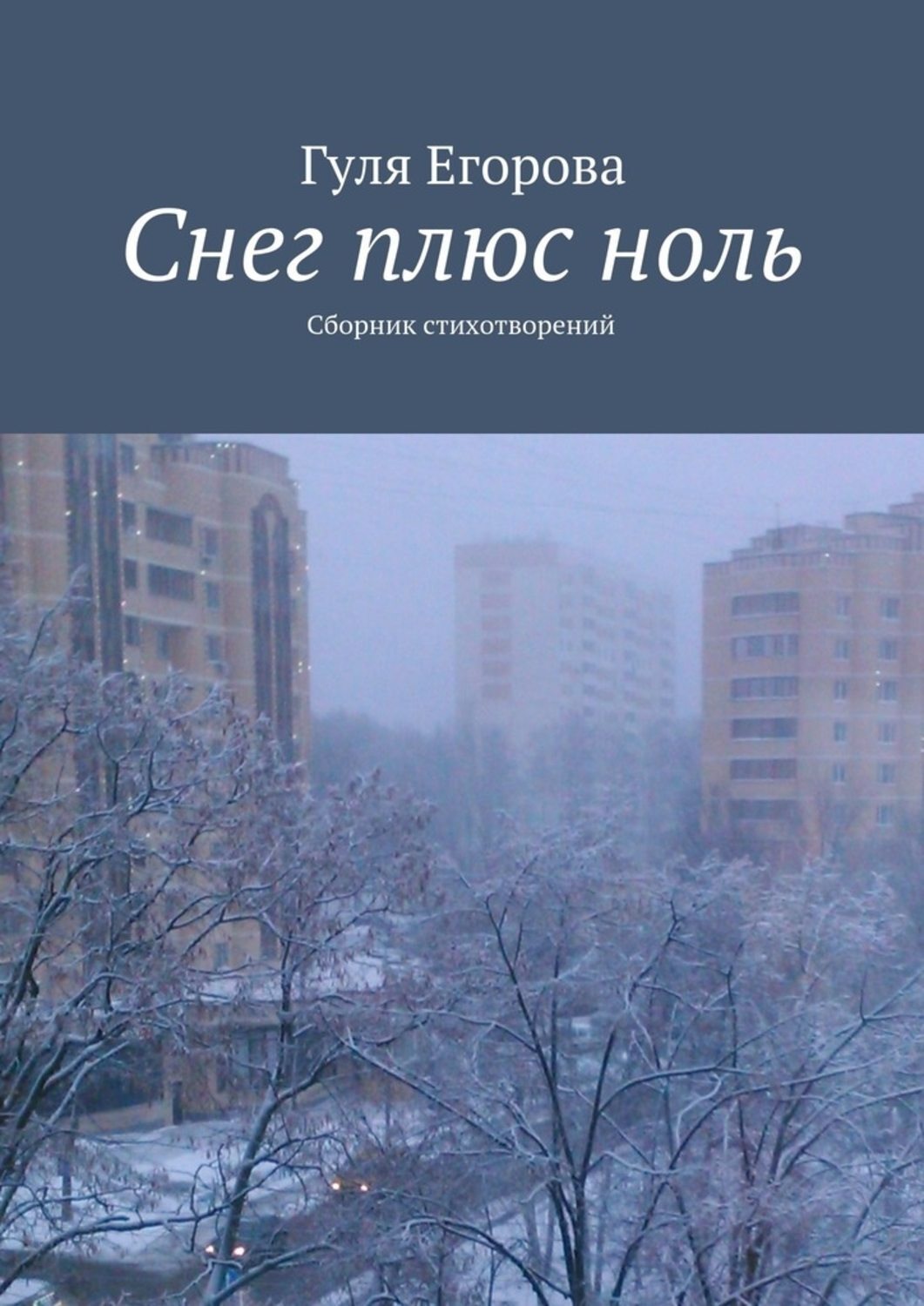 Обложка книги «Снег плюс ноль»