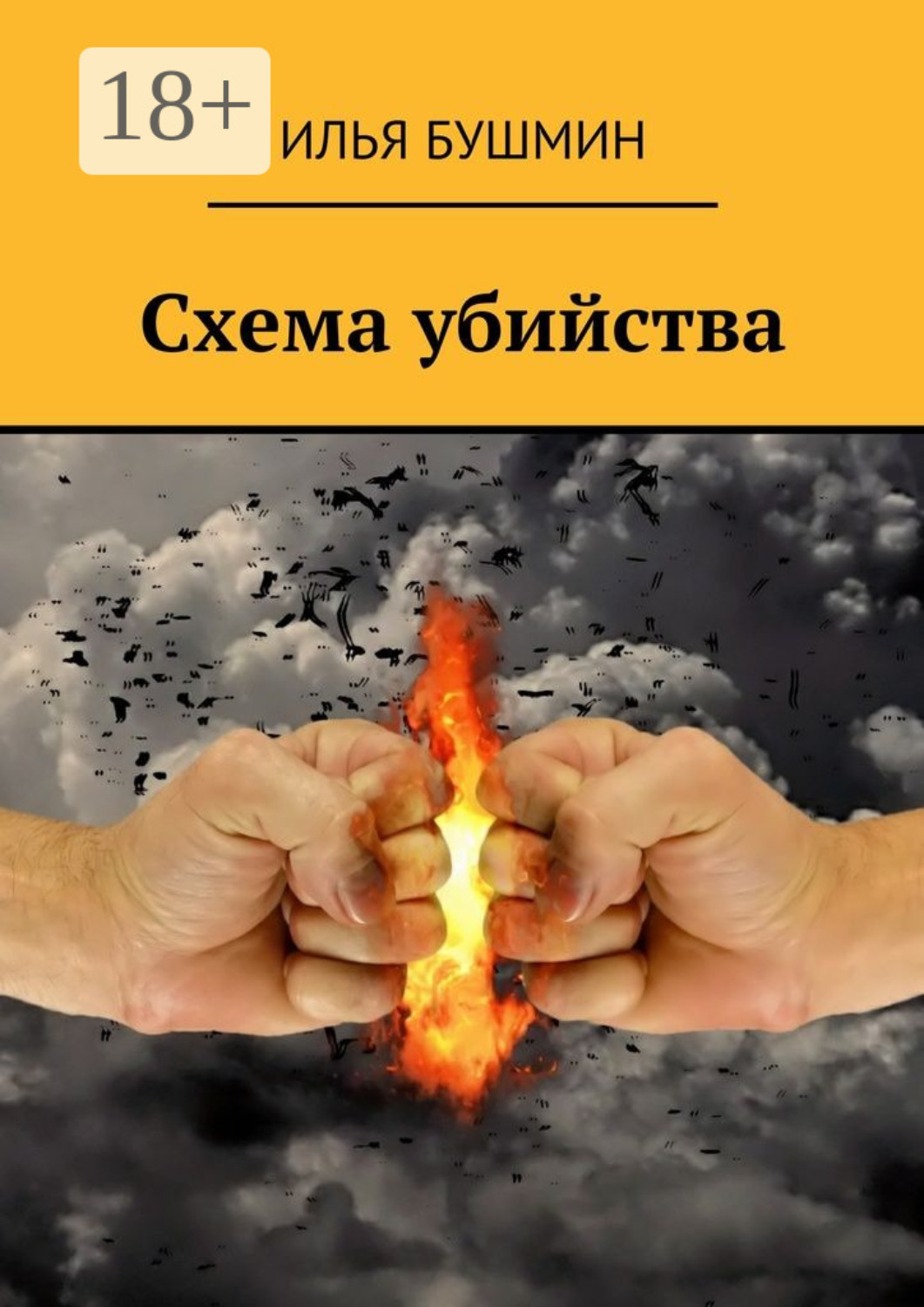 Обложка книги «Схема убийства»