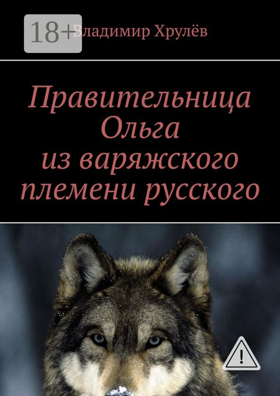 Обложка книги «Правительница Ольга из варяжского племени русского»