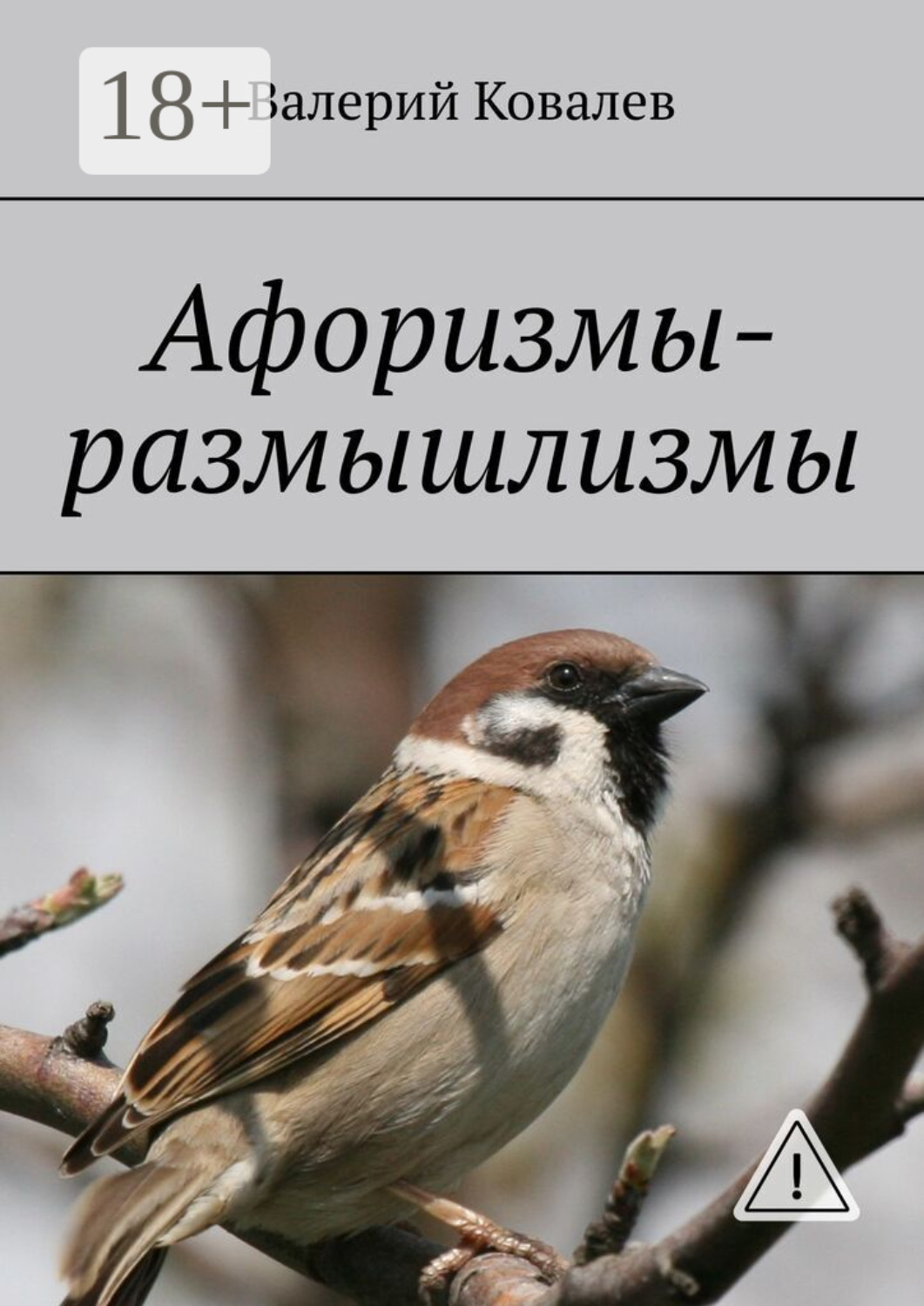 Обложка книги «Афоризмы-размышлизмы. юмор»