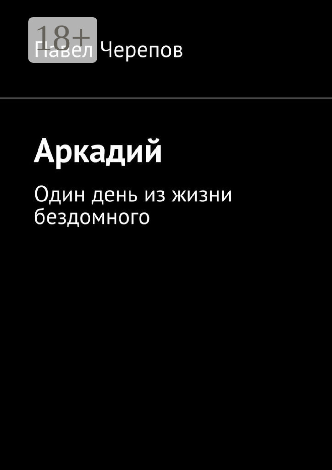 Обложка книги «Аркадий. Один день из жизни бездомного»