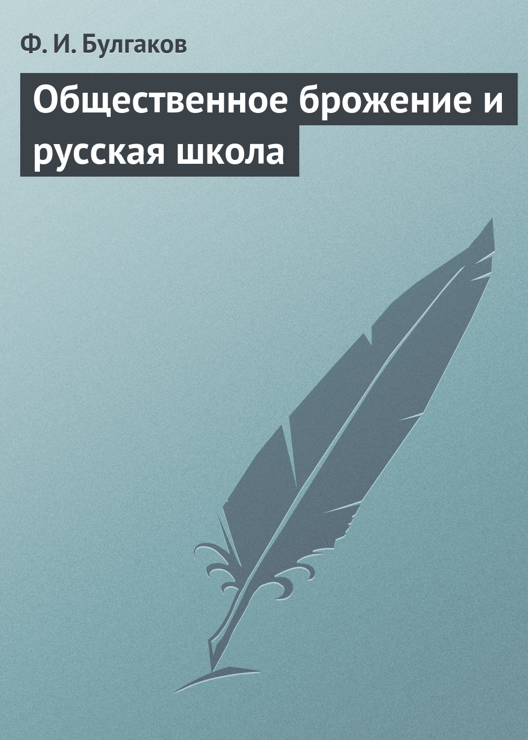 Обложка книги «Общественное брожение и русская школа»
