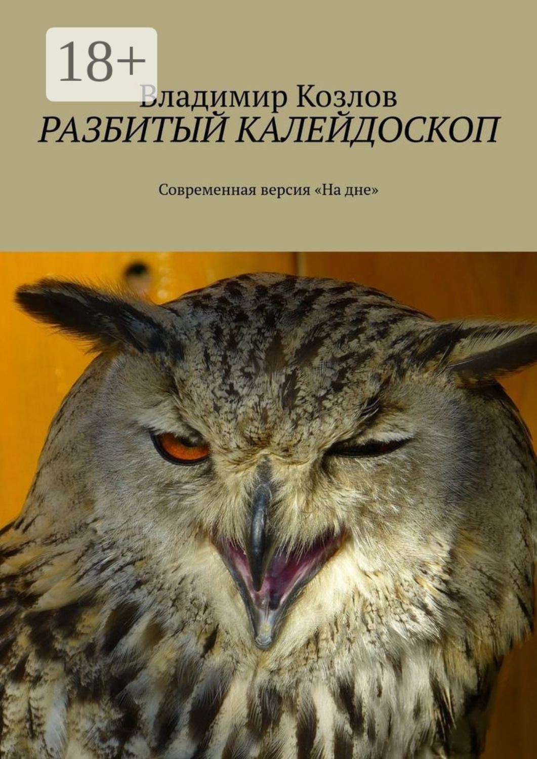 Обложка книги «Разбитый калейдоскоп. Современная версия «На дне»»