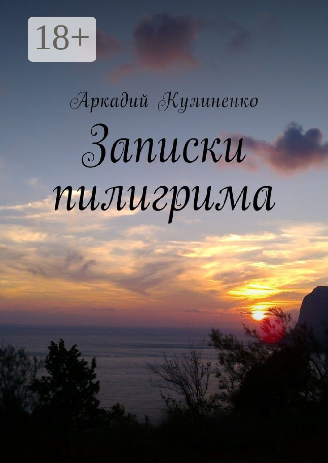 Обложка книги «Записки пилигрима»