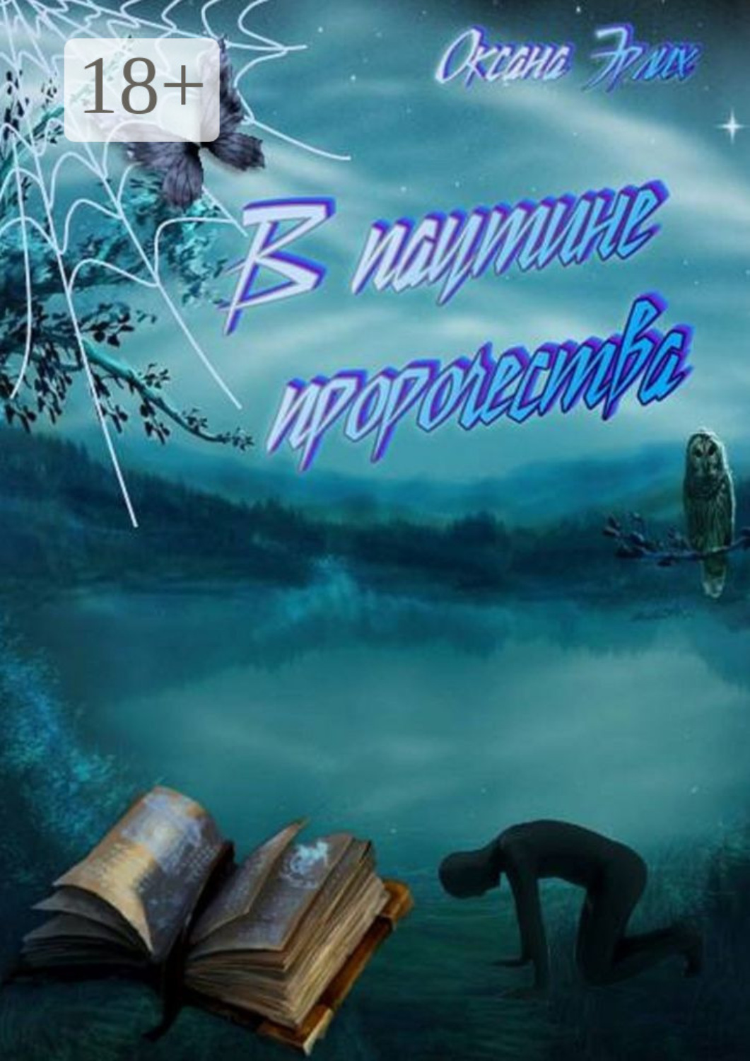 Обложка книги «В паутине пророчества»