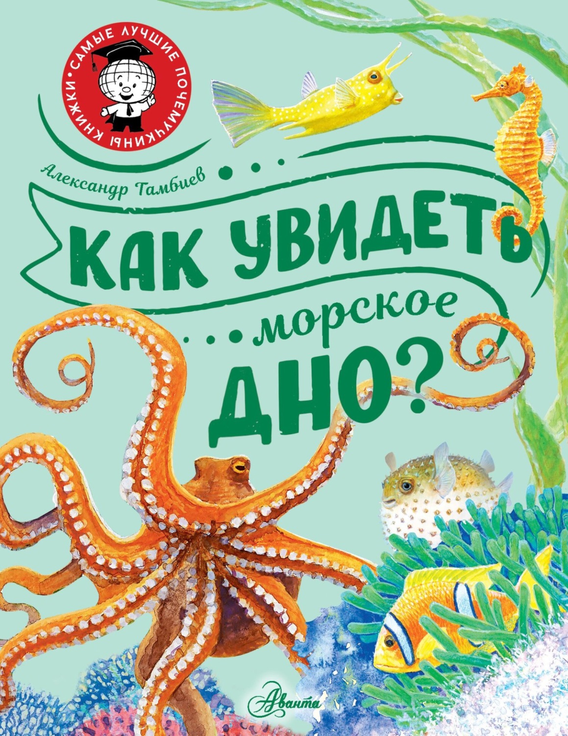 Обложка книги «Как увидеть морское дно?»