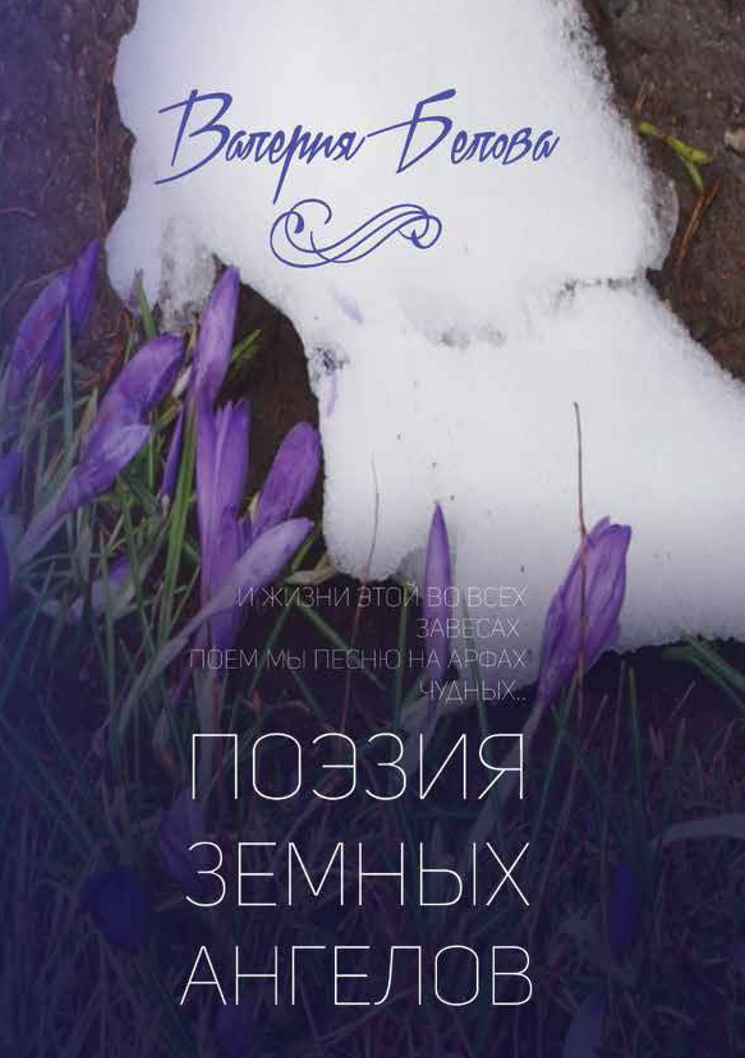 Обложка книги «Поэзия земных ангелов»