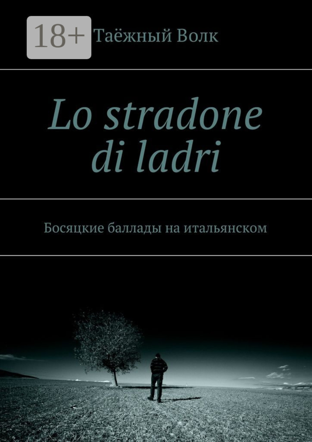 Обложка книги «Lo stradone di ladri. Босяцкие баллады на итальянском»