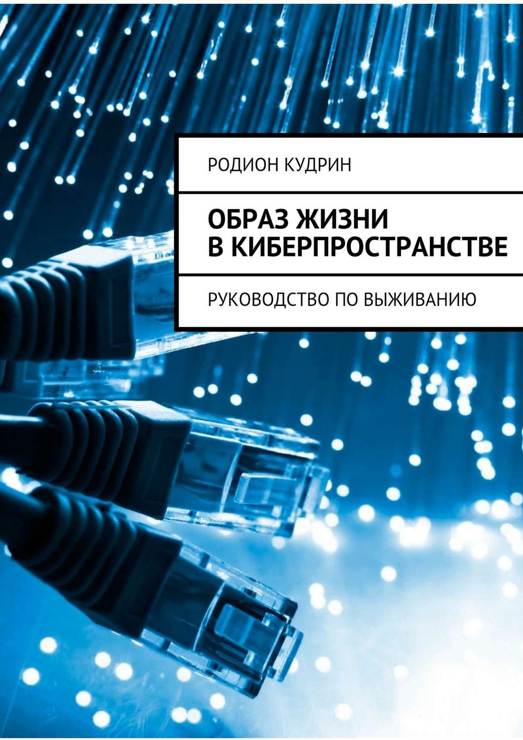 Обложка книги «Образ жизни в киберпространстве. Руководство по выживанию»