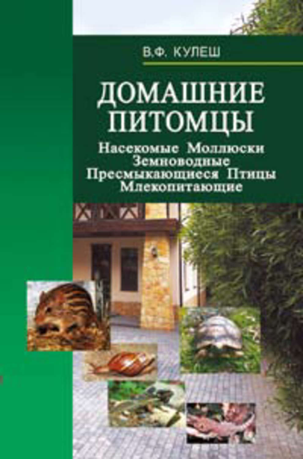 Обложка книги «Домашние питомцы: Насекомые. Моллюски. Земноводные. Пресмыкающиеся. Птицы. Млекопитающие»