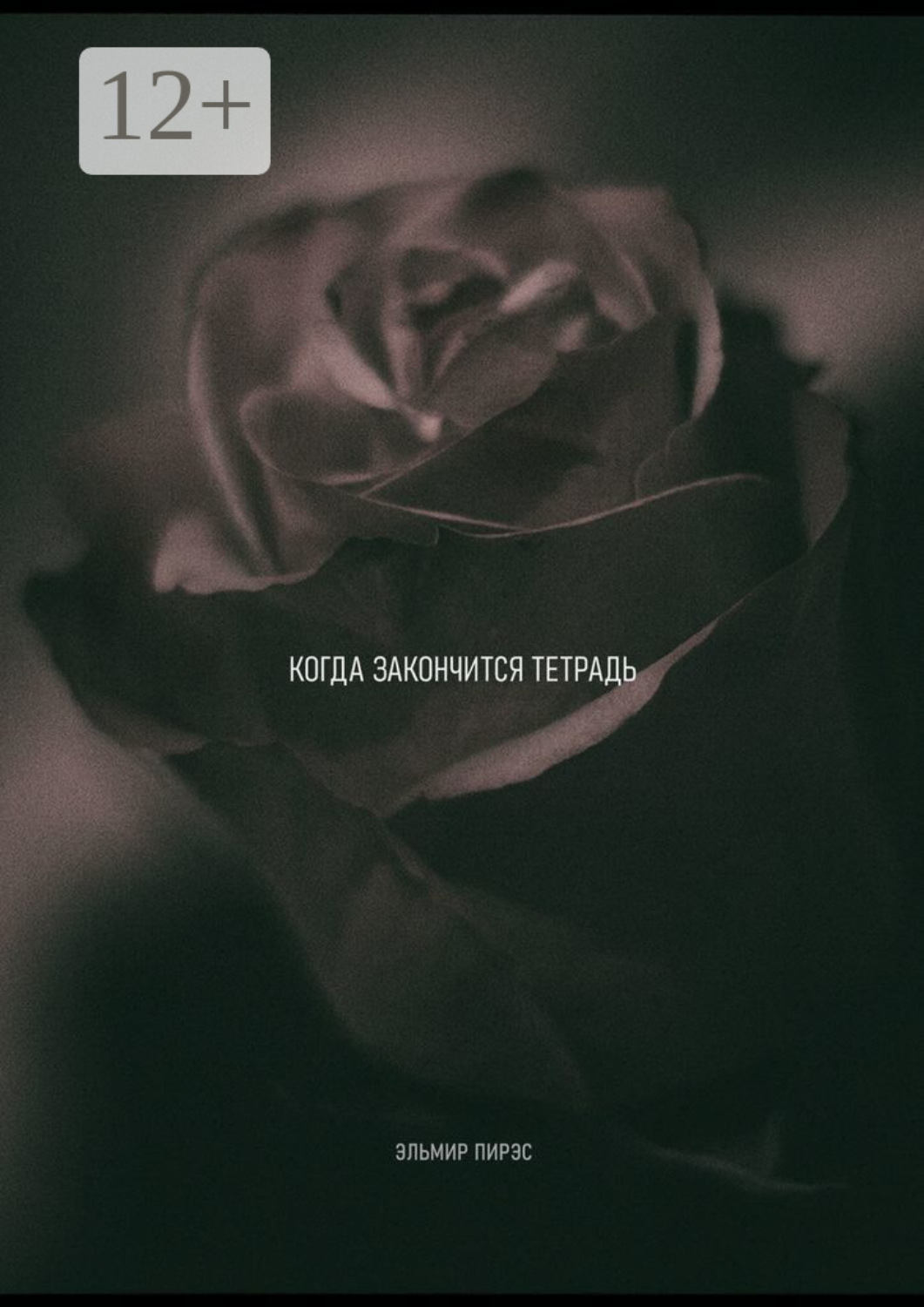 Обложка книги «Когда закончится тетрадь»