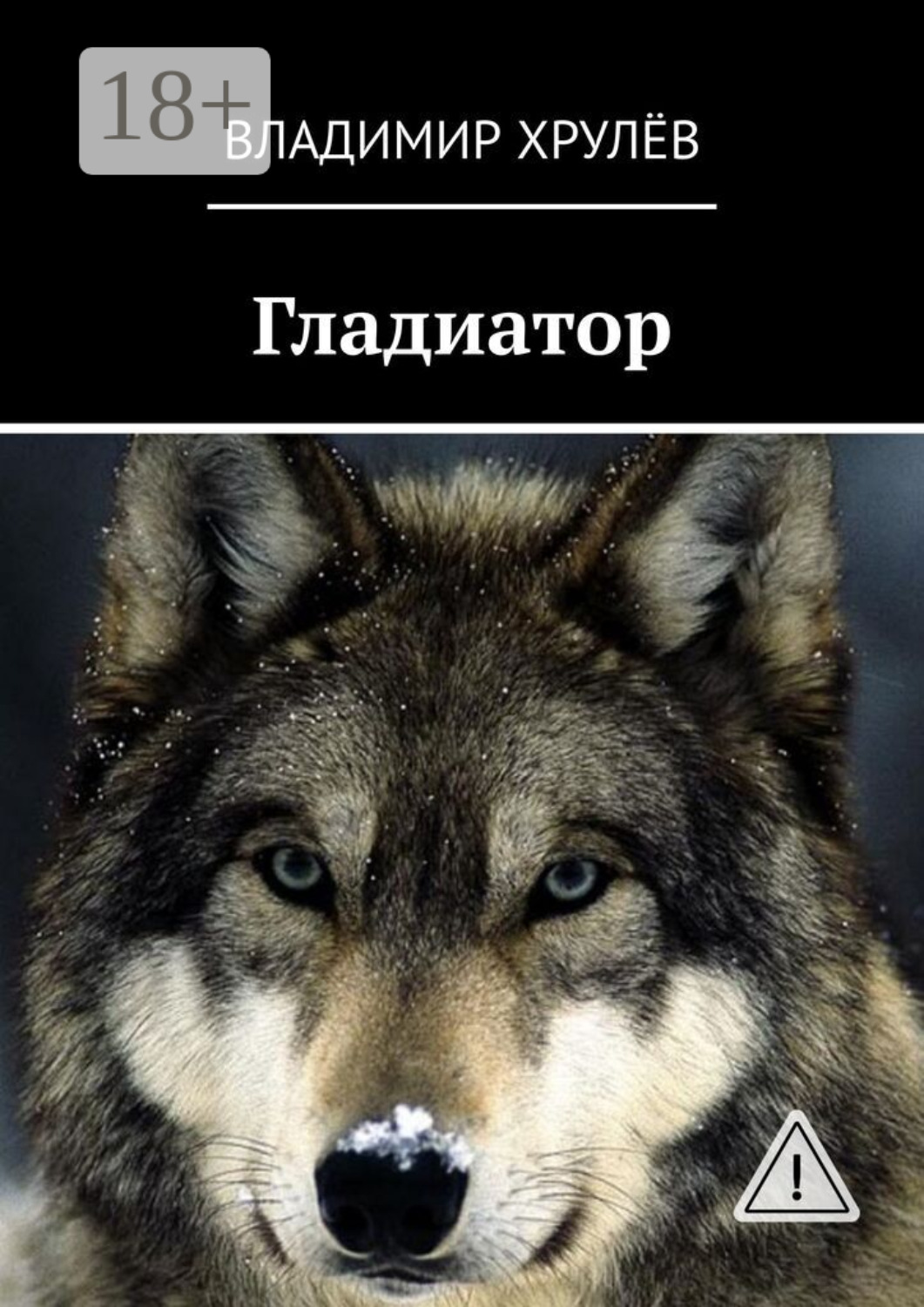 Обложка книги «Гладиатор»