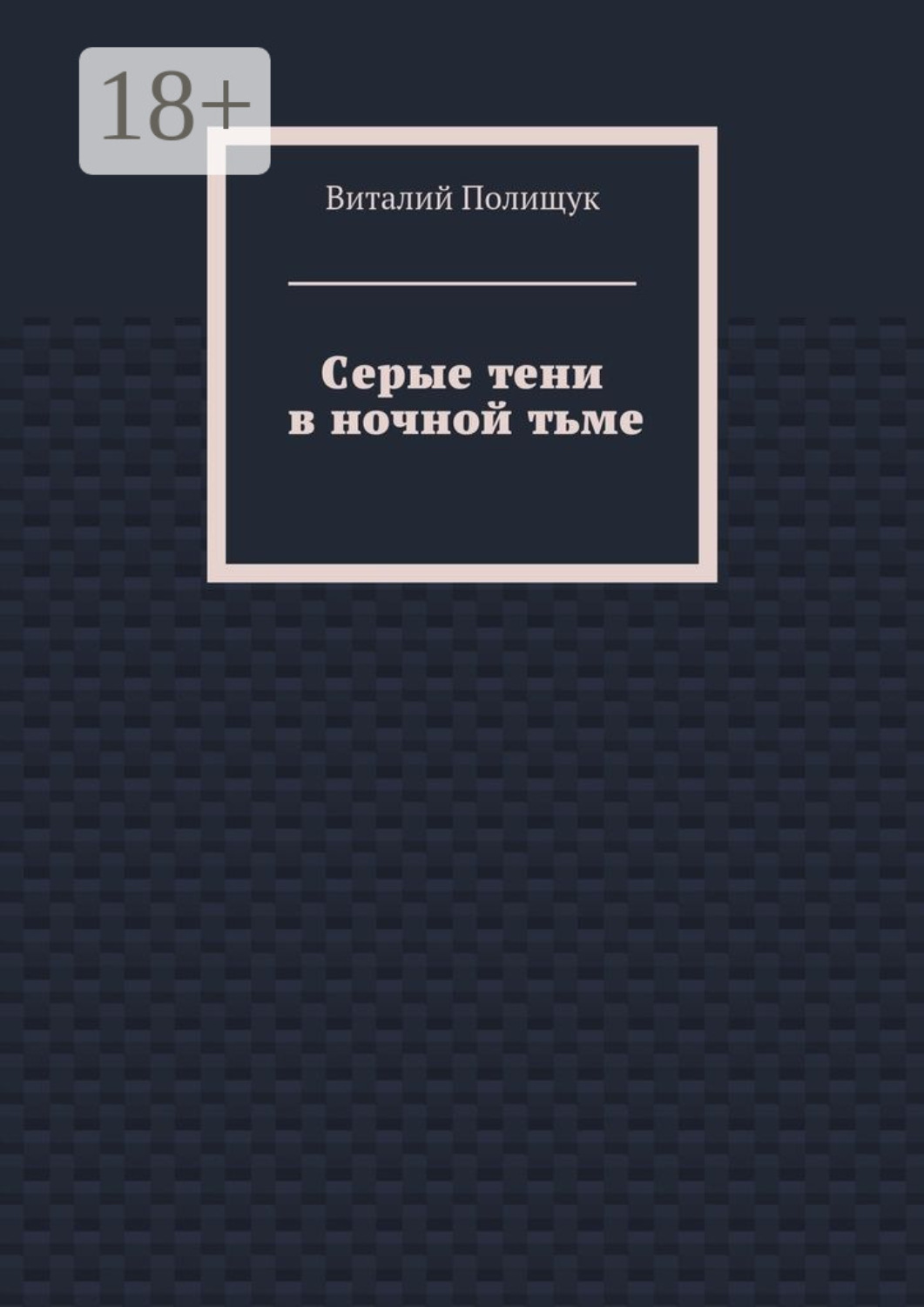 Обложка книги «Серые тени в ночной тьме»