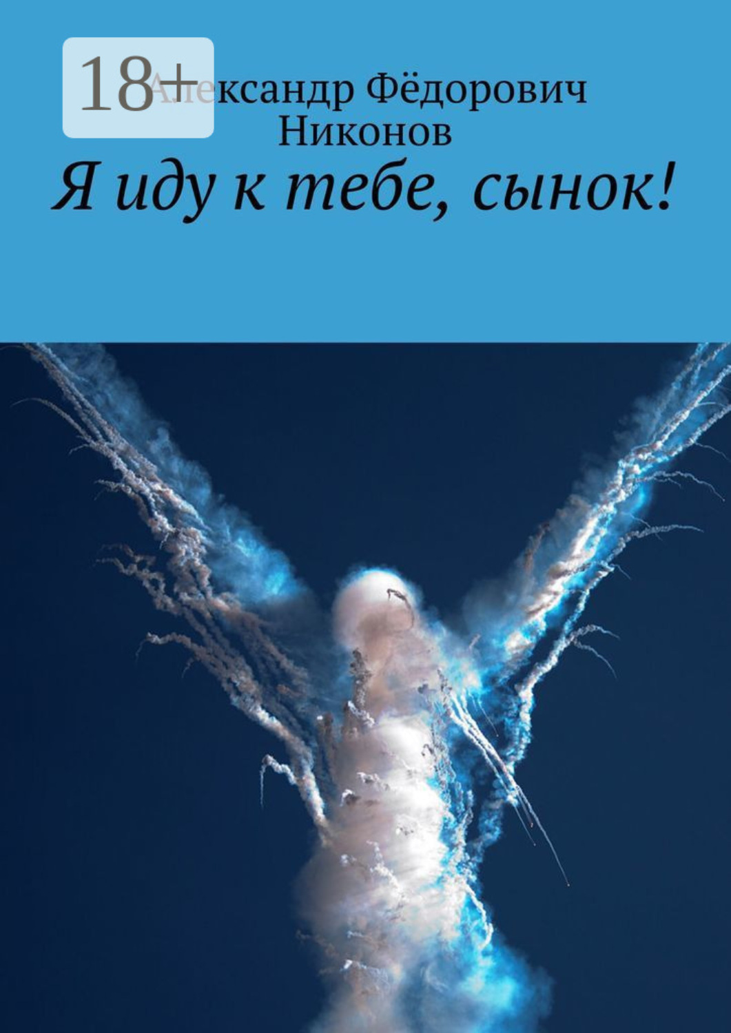 Обложка книги «Я иду к тебе, сынок!»