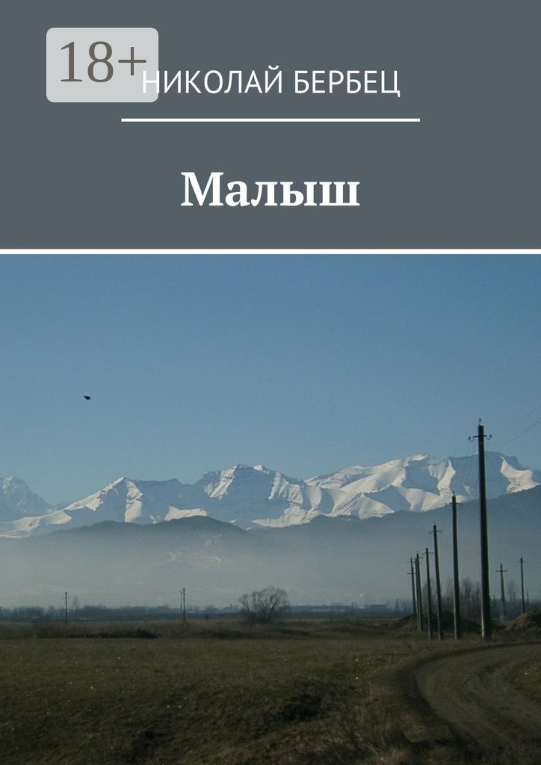 Обложка книги «Малыш»