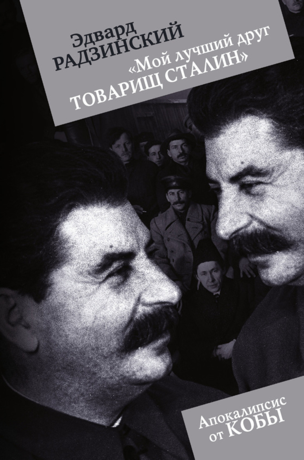 Обложка книги ««Мой лучший друг товарищ Сталин»»