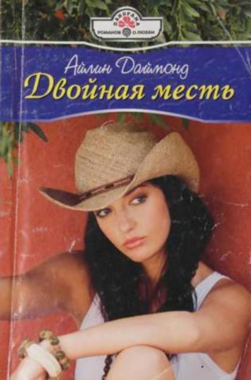 Обложка книги «Двойная месть»