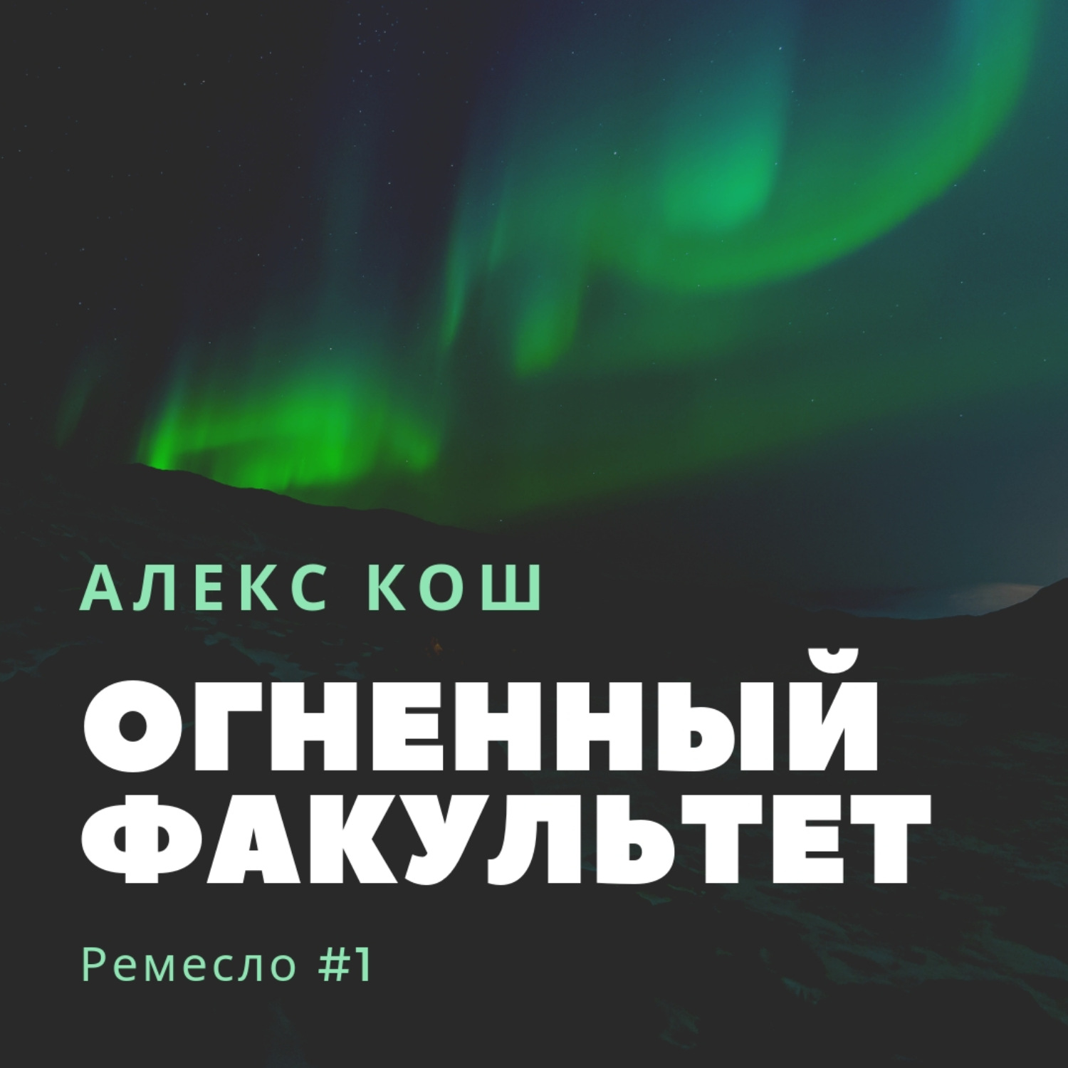 Обложка книги «Огненный Факультет»