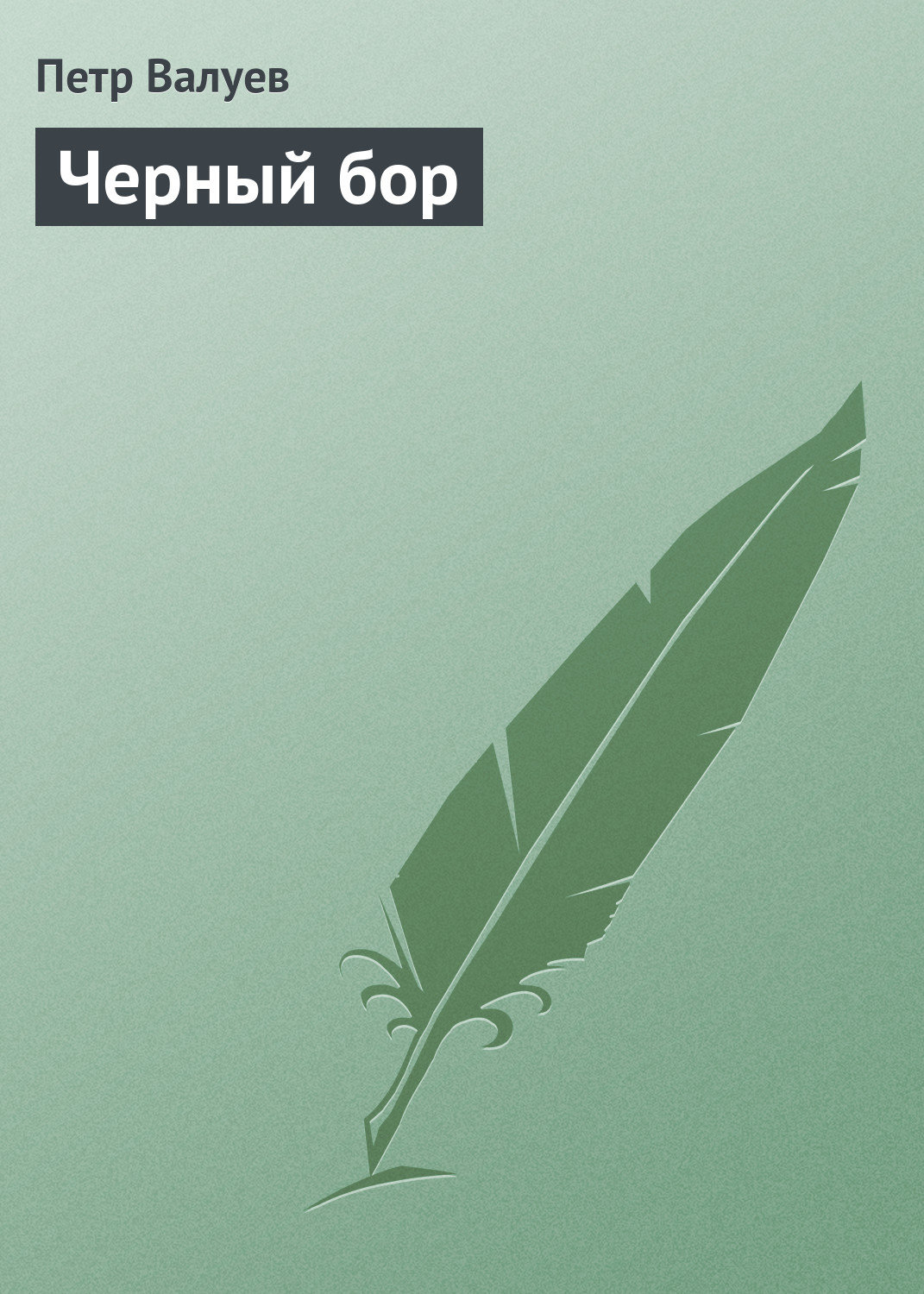 Обложка книги «Черный бор»