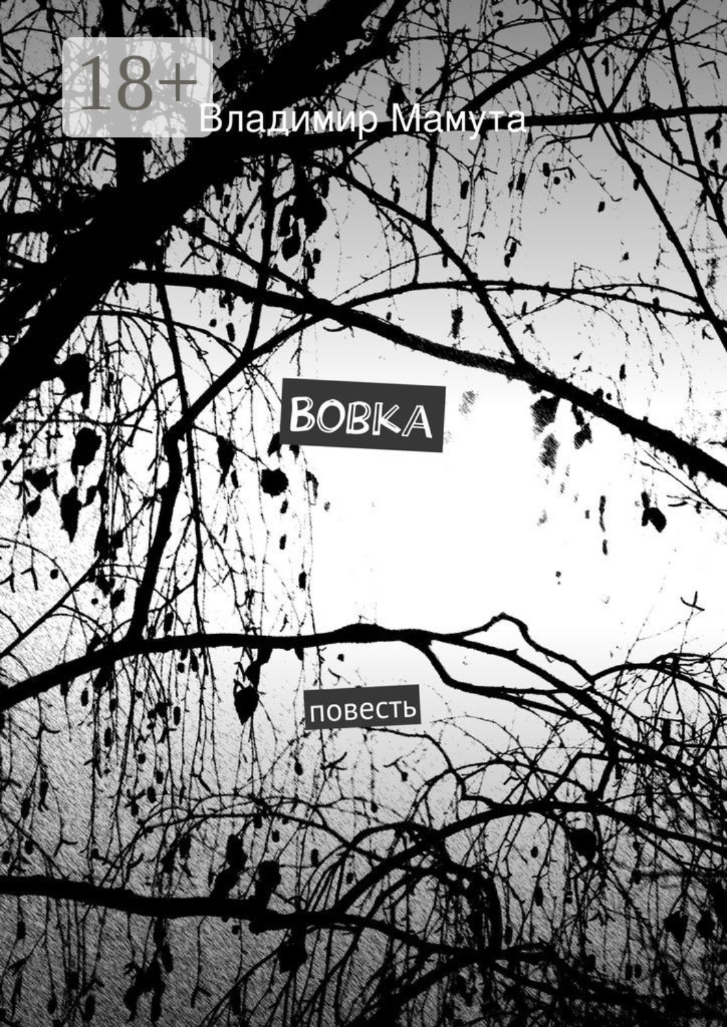 Обложка книги «Вовка. повесть»