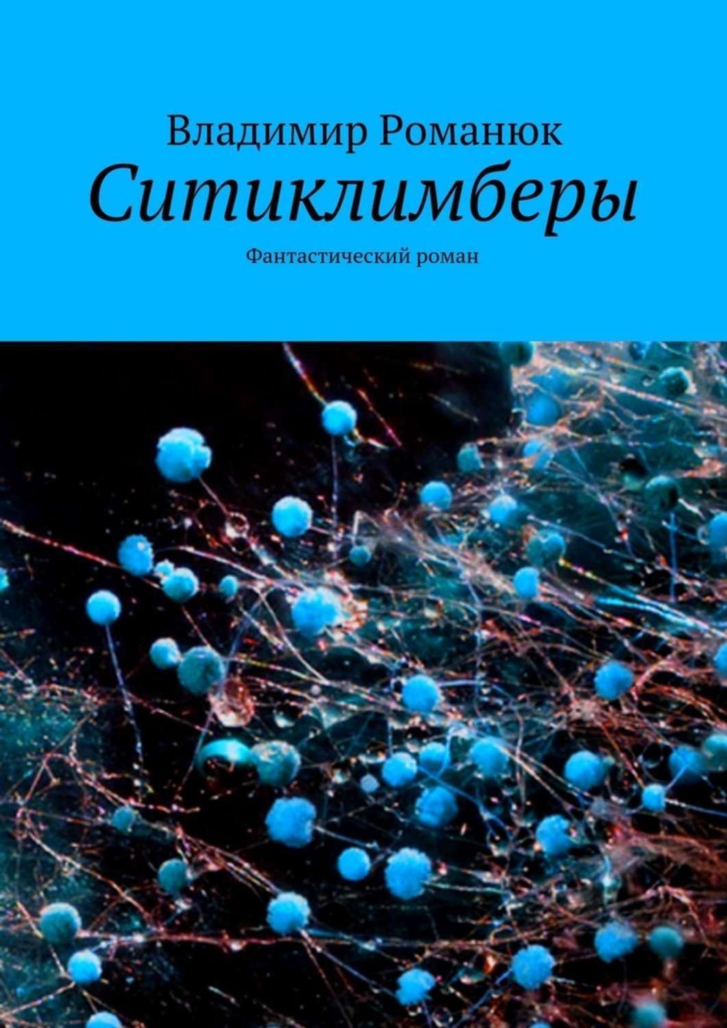 Обложка книги «Ситиклимберы. Фантастический роман»