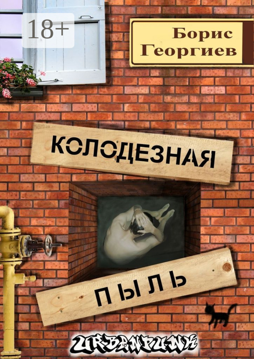 Обложка книги «Колодезная пыль»