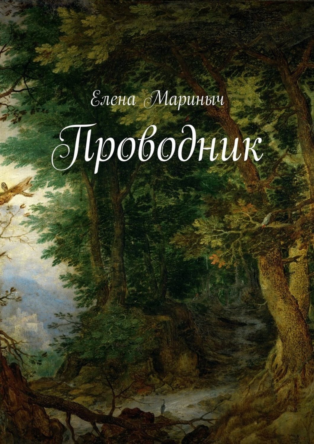 Обложка книги «Проводник»