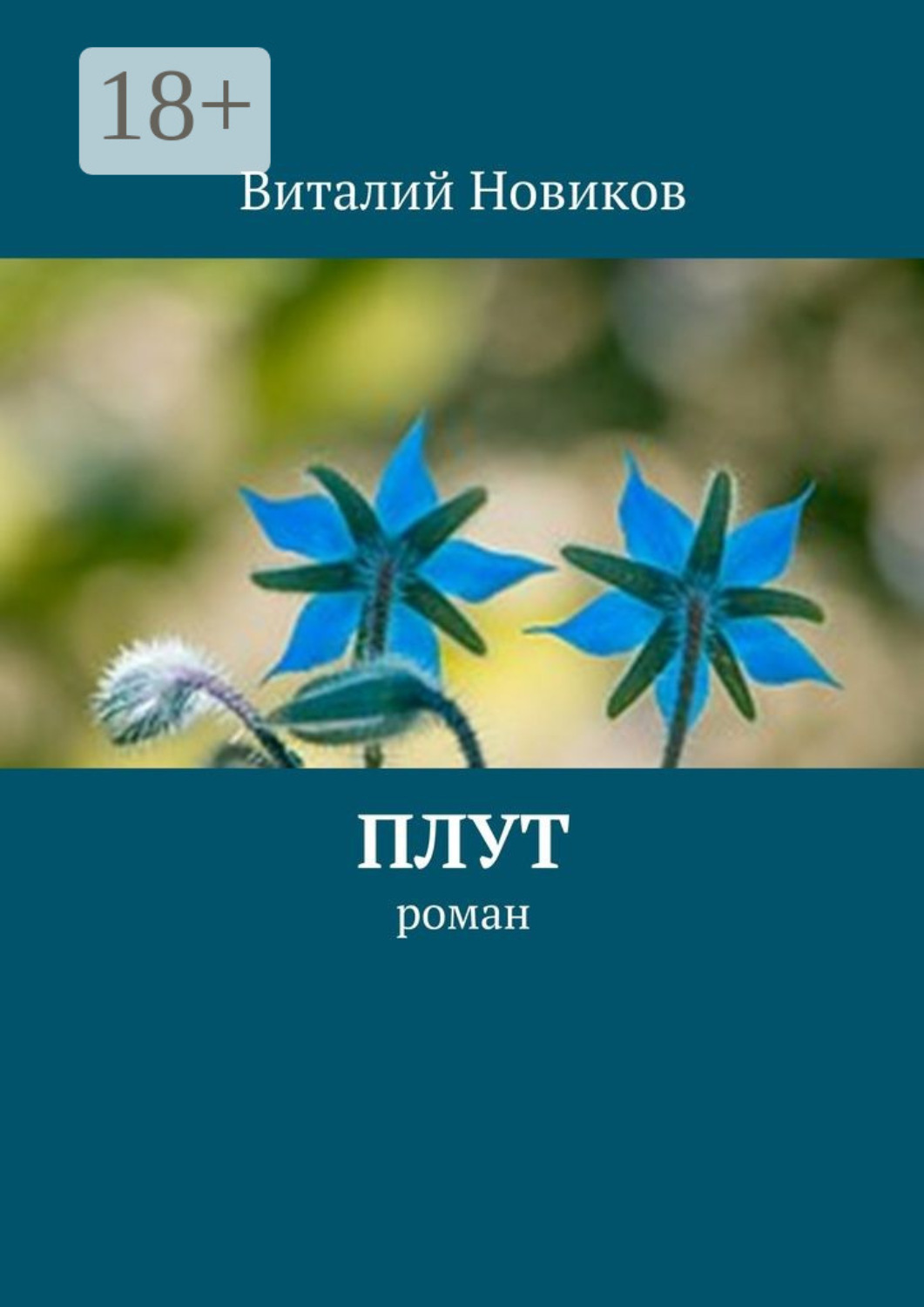 Обложка книги «Плут. роман»