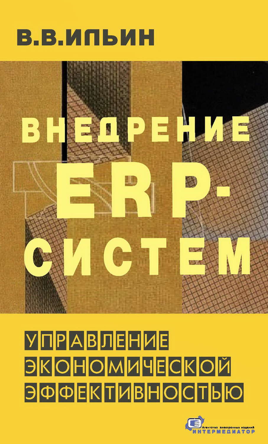 Обложка книги «Внедрение ERP-систем: управление экономической эффективностью»