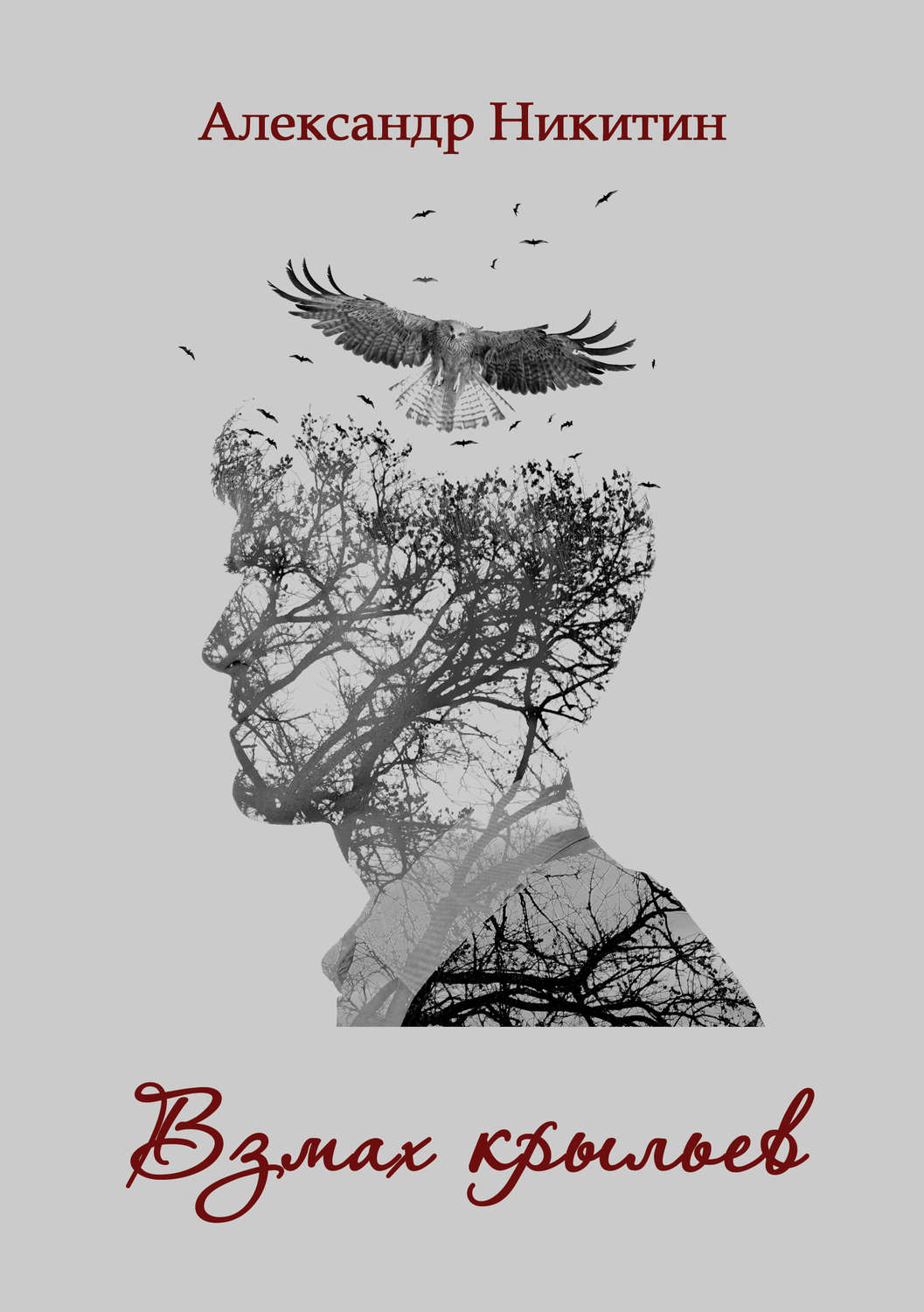 Обложка книги «Взмах крыльев»