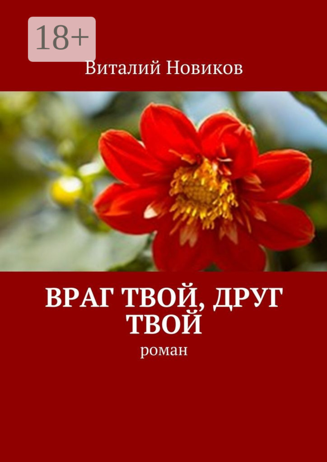 Обложка книги «Враг твой, друг твой. Роман»