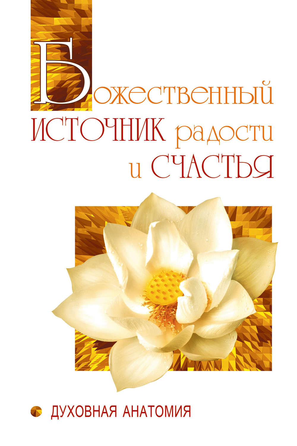 Обложка книги «Божественный источник радости и счастья. Духовная Анатомия»