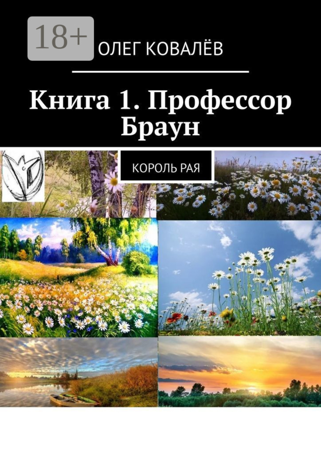 Обложка книги «Книга 1. Профессор Браун. Король рая»
