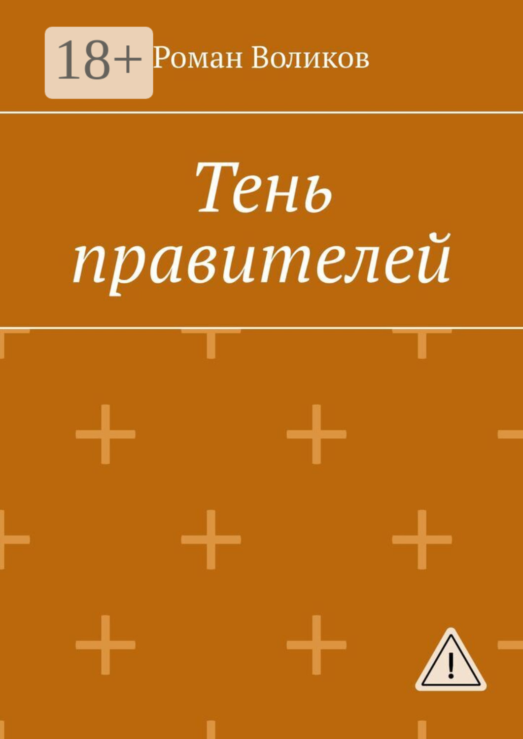 Обложка книги «Тень правителей»