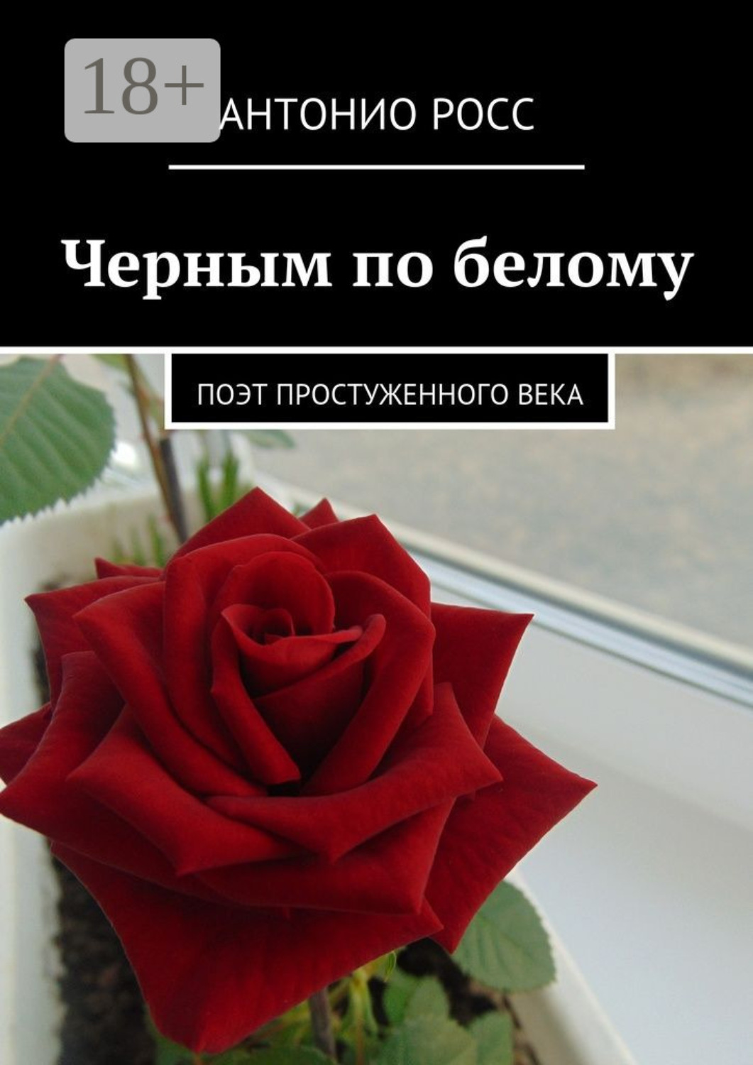Обложка книги «Черным по белому. Поэт простуженного века»