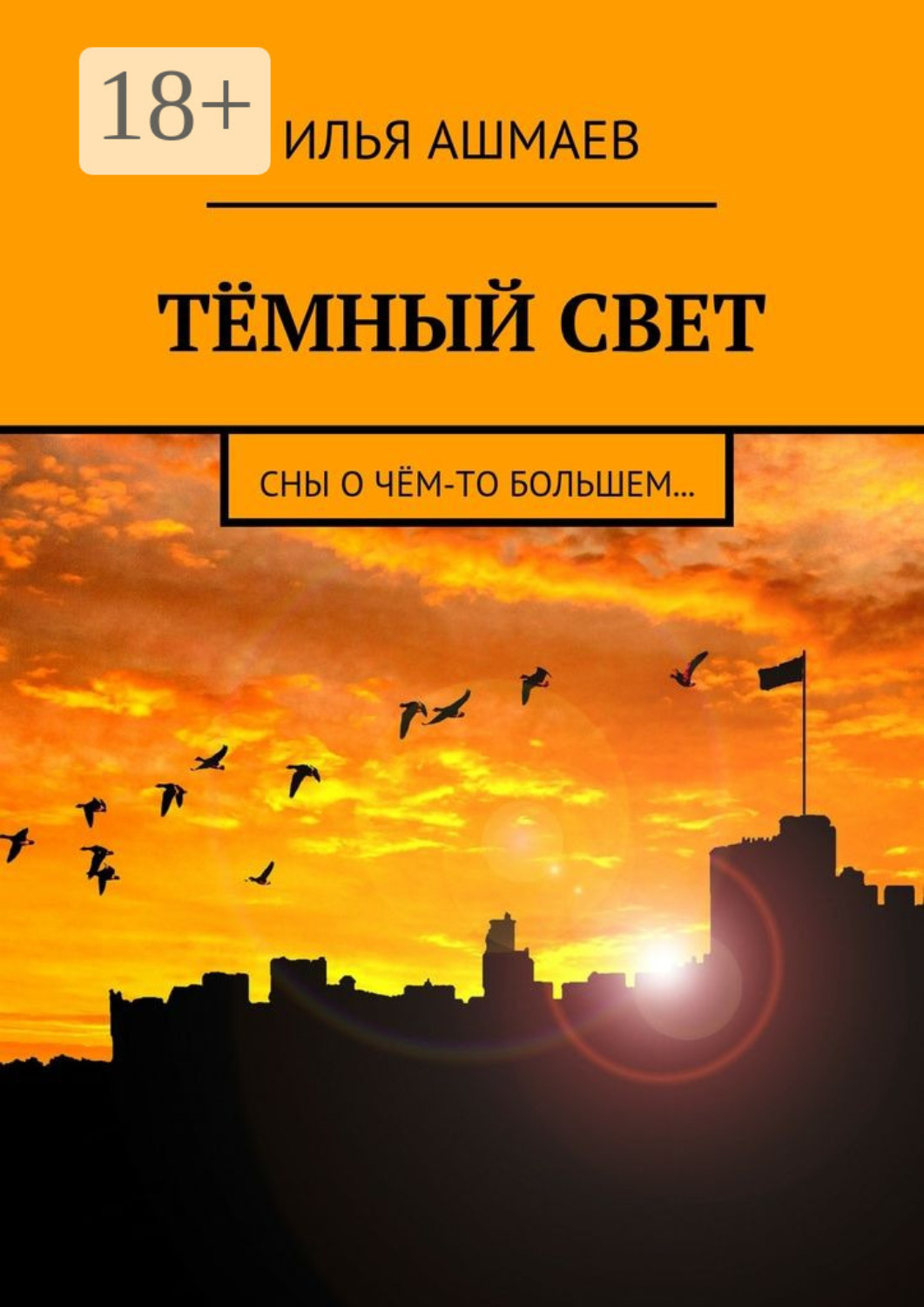 Обложка книги «Тёмный свет. Сны о чём-то большем…»