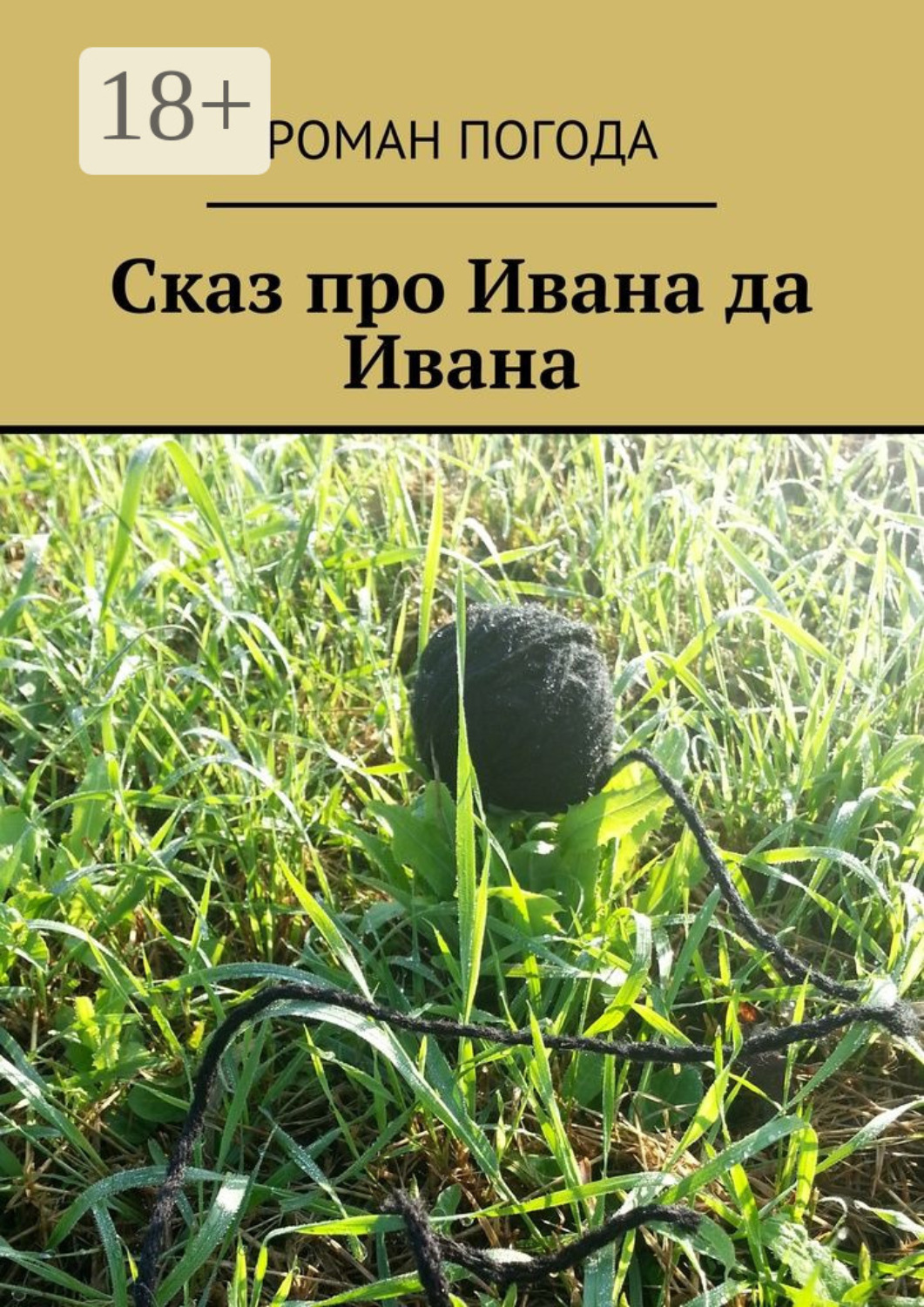 Обложка книги «Сказ про Ивана да Ивана»