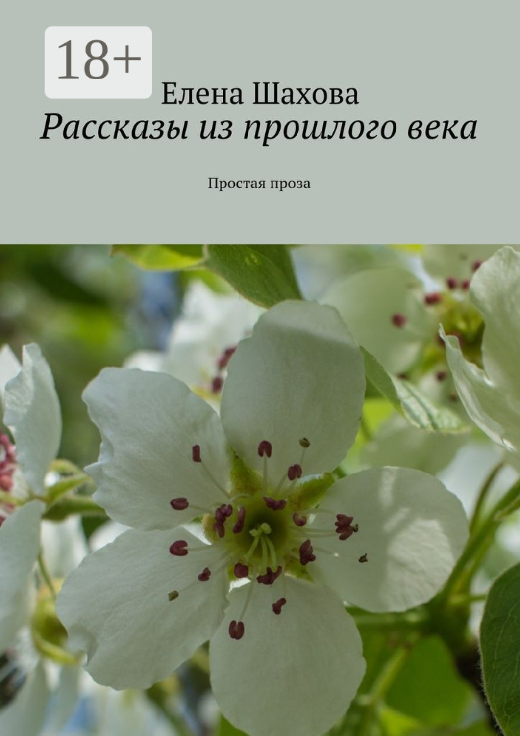 Обложка книги «Рассказы из прошлого века. Простая проза»