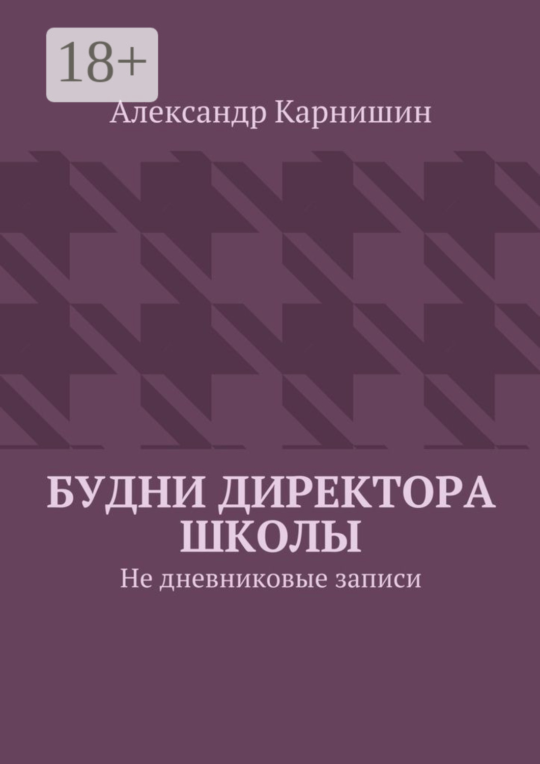Обложка книги «Будни директора школы. Не дневниковые записи»