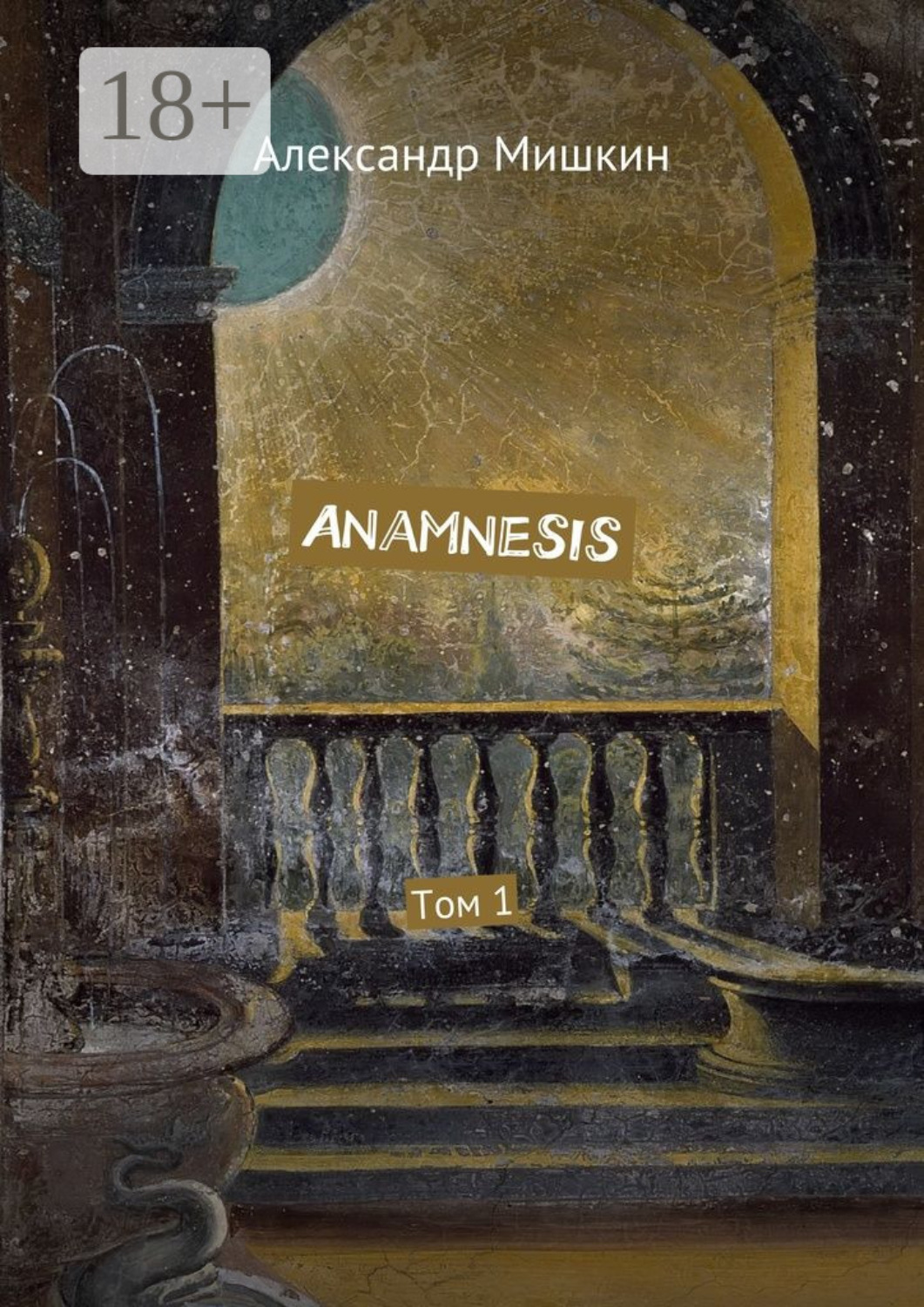 Обложка книги «Anamnesis. Том 1»