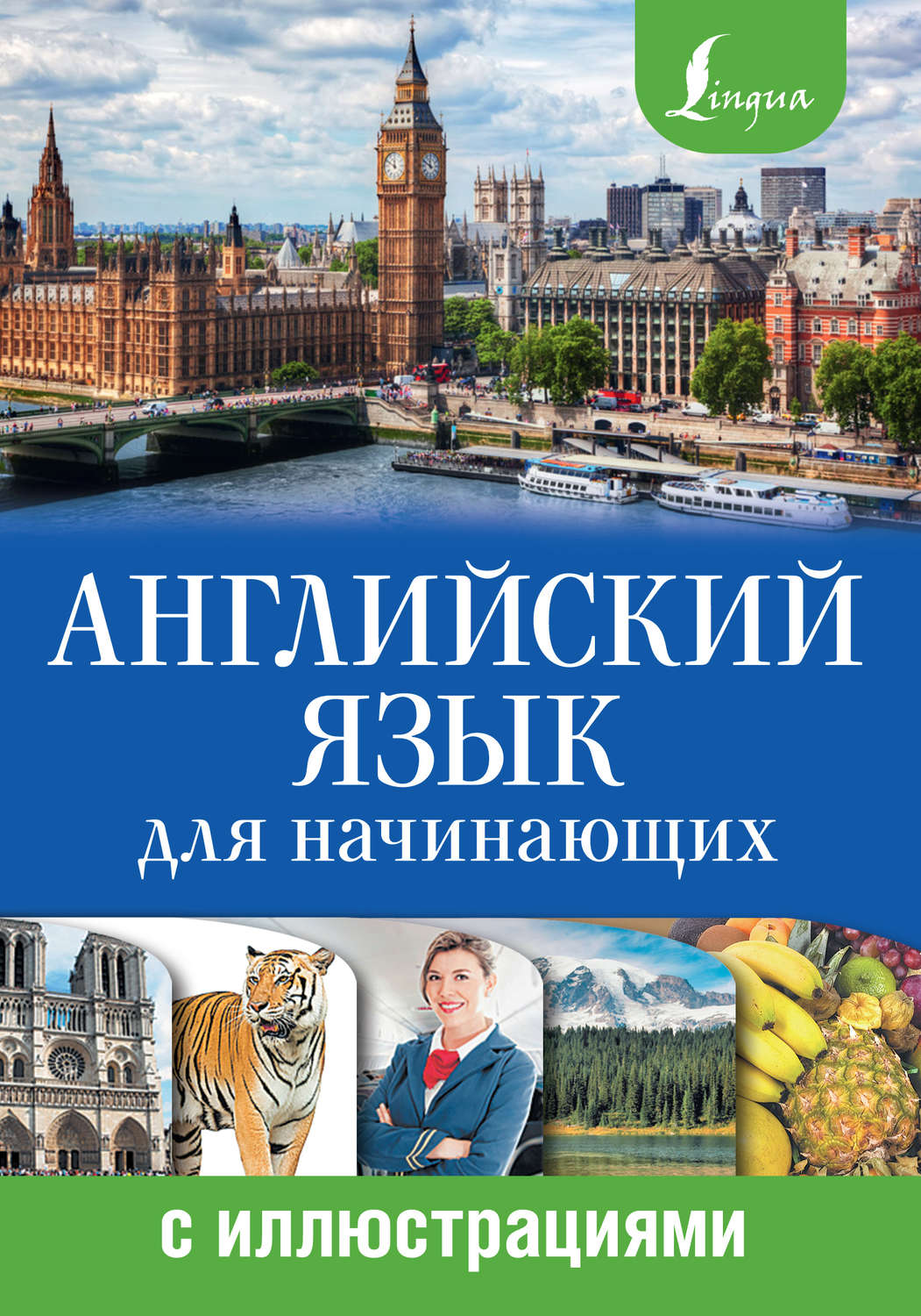 Обложка книги «Английский язык для начинающих с иллюстрациями»