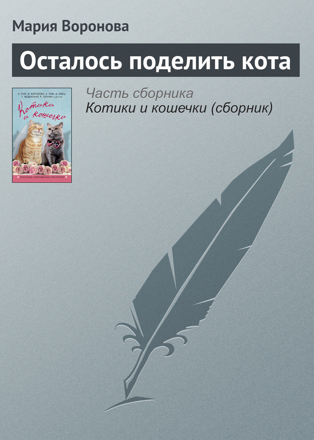 Обложка книги «Осталось поделить кота»